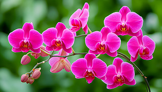 Mķۼtɫmʢ_[[ľGɫֲ