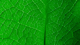 MľG(sh)[[ɭ֭h(hun)