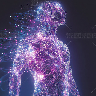 (jng)W(wng)j(lu)w͸ҕY(ji)(gu)