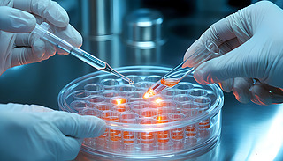 M{(ln)ɫҺwČ(sh)(yn)ҲչʾƌW(xu)(sh)(yn)ҕ