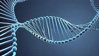 Mδе{(ln)ɫ޺ڄ(dng)B(ti)3DO(sh)Ӌ(j)аl(f)D