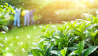 MꖹĺԺɫ_r΢L(fng)