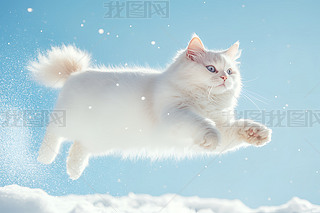 ѩϱܵİɫ˹؈zӰD