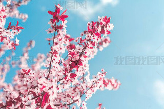 챳_֦ʽcۼtɫ(du){(ln)