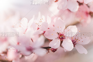 ů_2