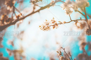 _Ęľʢ_Ļ@xc