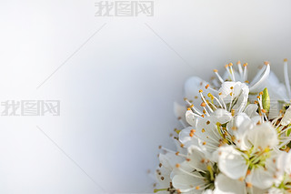 ֙ѻ