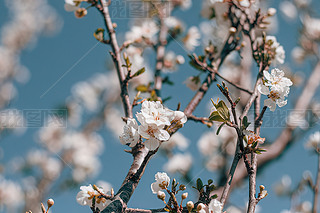 ֦