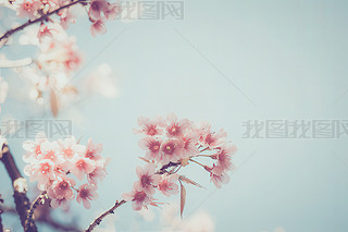 P]Ѿƙѻ仨ѻѾɫ{