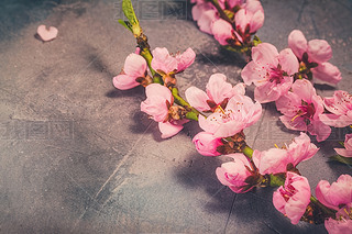 ۼtɫѻ֦cɫ(f)ɫ{(dio)