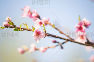 ۼtɫһ챳2