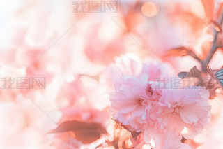 ĻܴȻ󱳾ܛcɫ{ĈD