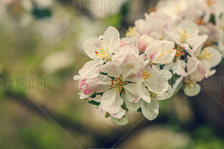 _O䴺rgP(gun)]Сܛx^V