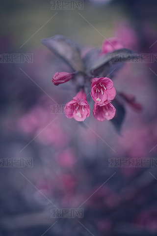ĹľcۼtɫĻ،(xi)R^