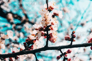 ęѻѻѻ(sh){(ln)2
