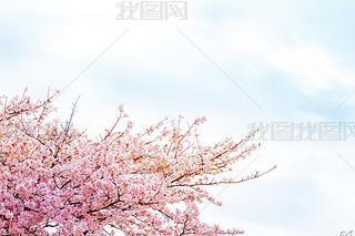 ęѻѻr(sh)g{(ln)ѻʢ_