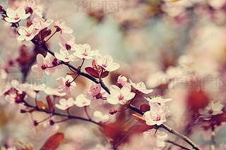 _ձҙѻȻ