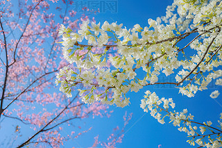 ęѻc{(ln)һ(g)ʵ~̩(gu)ܛc(din)