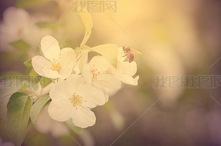 ۷ռ紺@