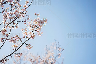 ձęѻ(ji)