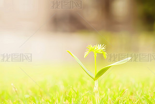 Gɫ