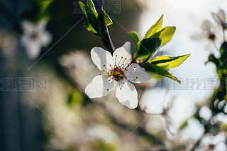 ֦ϵĻоGɫ~ӜůSɫꖹęѻ