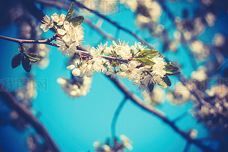 rİɫʢ_֦^VP]2