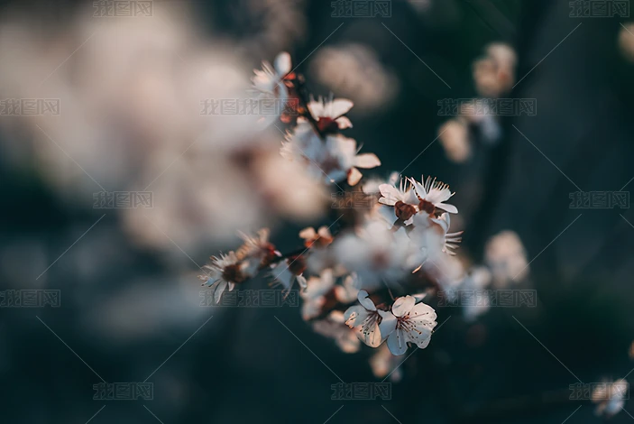 Ļ@