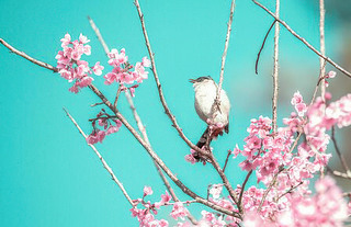 ѻ֧Bһˮ