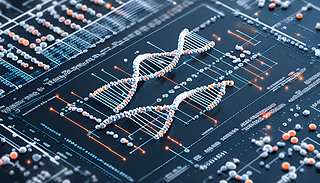 (x)DNA_(d)ģʽ{(dio)˽z