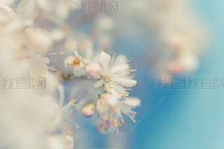 ɫ컨δ۽ĳ󻨻ܱ