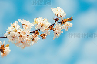 ѻP]cɫr컨Ȼ