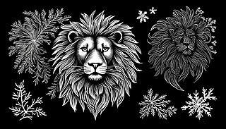 L񻯵Ī{Ә־O(sh)Ӌʸˇg(sh)ڸɃİɫ