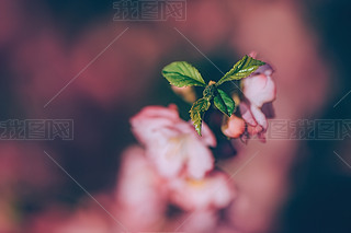 ѻʢ_СȻ2