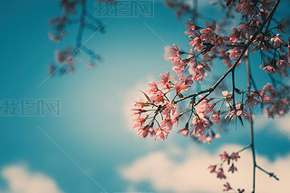 ѻѻҰϲRřҴĕr