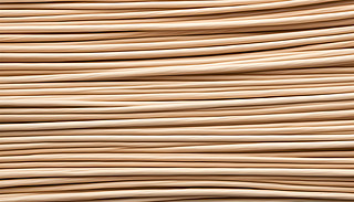 (f)sİͰɫyչF(xin)Ȼyȱ