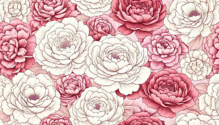 µļtɫܲDԭʼİɫչʾ