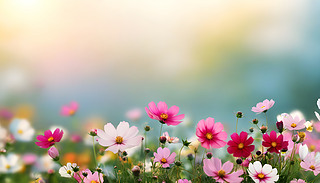 µķɫډ(mng)ð{(ln)ɫɢ(yu)ŵ