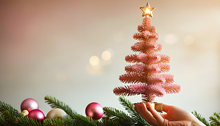 º(jin)sķɫʥQ(sh)bɫͷɫbƷ