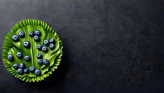 ζ{(ln)ݮгď(f)ƿgӂ(g)Ի