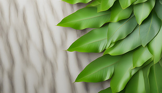 ͩ(sh)(sh)Ƥİ߼yybMľGɫ