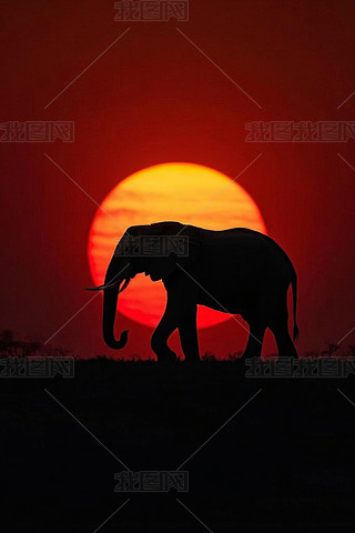 r(sh)һ^ª(d)Ĵ̫(yng)ǰDƬ