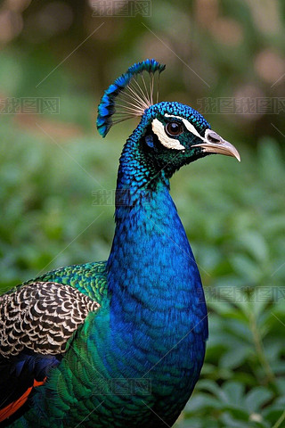 һl{(ln)ɫβͰɫ^;Gɫβ͸DƬ