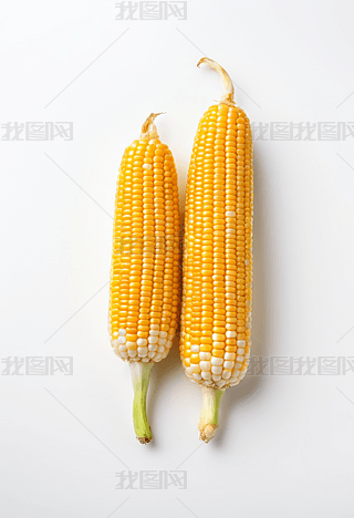 NNSϲ׵ĽɫT