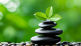 Cʯ^͘(sh)~(gu)ɷӳȻͽ