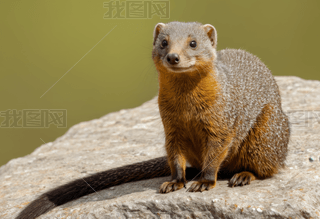 ȑB(ti)ʮ؈ʯ^ϵĿɐ؈