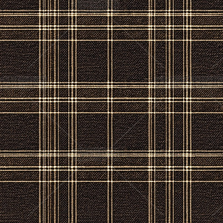 ظyϼy