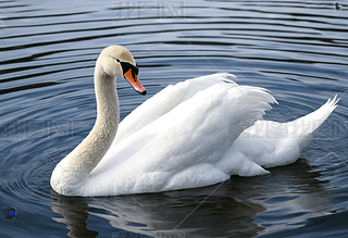 ϵă(yu)ŰZZĺٻӰ