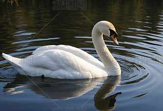 ϵă(yu)ŰZZĺ⵹Ӱ