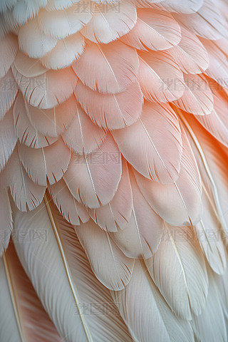 ʹë